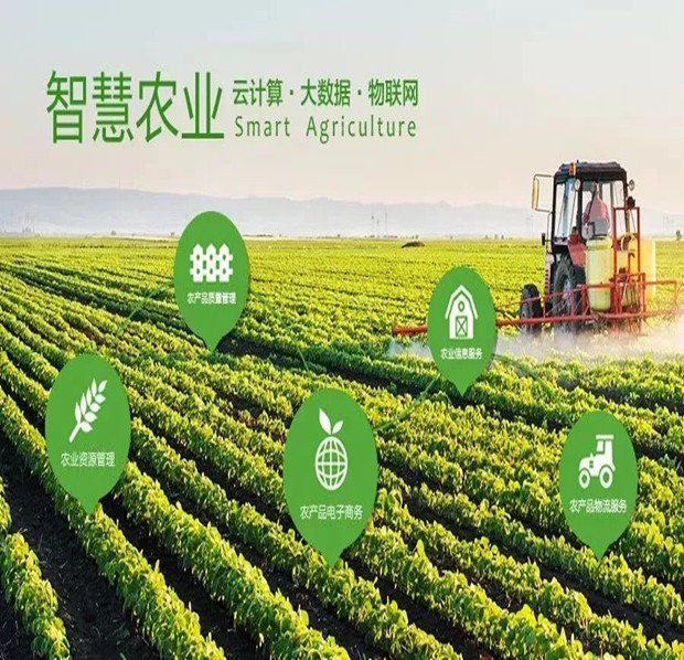 智慧農(nóng)林案例